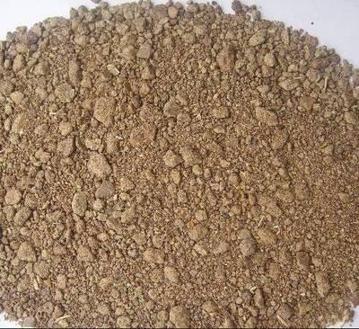 天津港進口所羅門群島糧食油料椰子粕葵花粕高粱豌豆報關清關