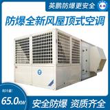 防爆全新風(fēng)屋頂式空調(diào)機(jī)制冷量65KW