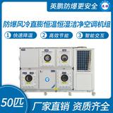 防爆風(fēng)冷直膨恒溫恒濕潔凈空調(diào)機(jī)組